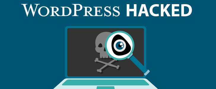 WordPress Plugin Activity Log 2.4.0 – Stored Cross Site Scripting